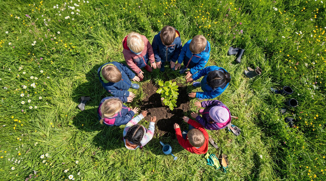 Children Planting and Caring for a Young Sapling on Green Hill &ndash; Environmental Education, Nature and Sustainability