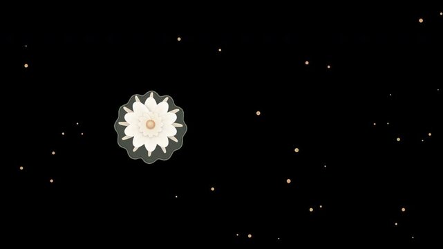 Premium 10-second seamless wellness botanical loop featuring a highly detailed daisy flower clock with transparent alpha background for video overlays.