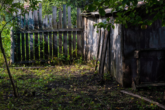 A weathered grey wooden plank fence meeting the wall of a small storage shed, apple branches with green fruit above, tall weeds and grass below, dappled sunlight and shadow on a summer day