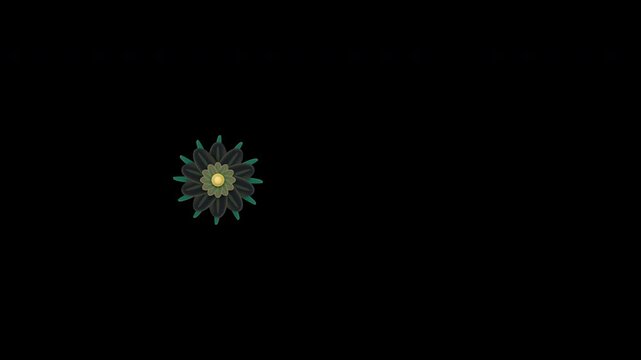Premium 10-second seamless dark luxury botanical loop featuring a detailed daisy flower clock with transparent alpha background for video overlays.