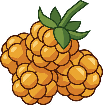 Yellow raspberries with green stem resting on white background