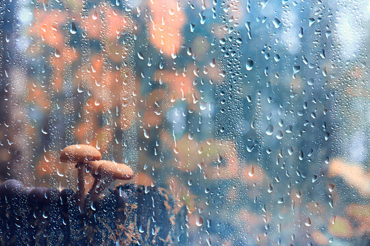 Wet weather, drops of autumn rain on the glass, autumn landscape outside the window, weather change