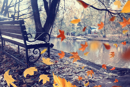 Leaf fall landscape in autumn park, colorful leaves flying in the wind background of October
