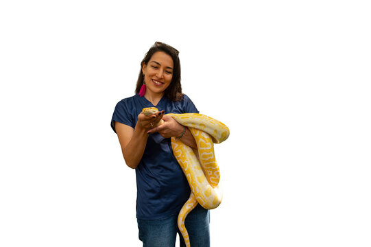A smiling woman, isolated against a transparent background, holding the yellow python wrapped around her neck with both hands.
