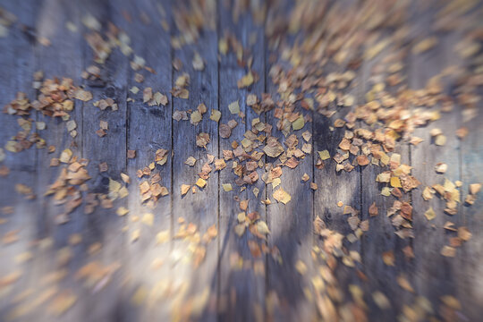 autumn background, zoom effect, fallen leaves in the autumn style of October nature movement