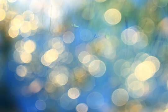 summer nature golden bokeh delicate soft color abstract background