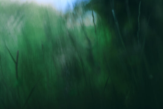 Dark green background nature, grass and eco concept abstract photo background