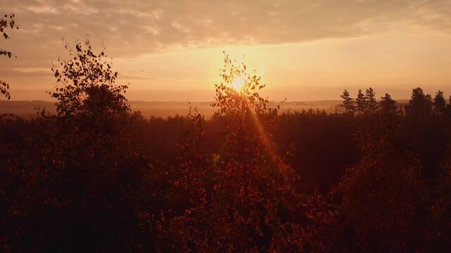 sunset over the field
