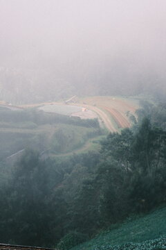 Dense fog over a remote valley farm