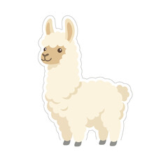 Obraz premium Cute white alpaca sticker with fluffy wool and gentle expression is perfect for farm animal themes children nursery decor and South American travel related projects.