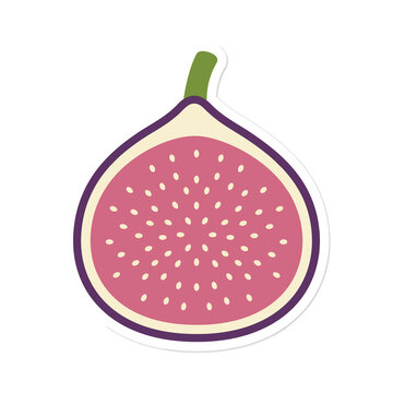 Purple fig fruit half showing pink seeded interior and green stem provides vibrant botanical element for mediterranian diet and nutritional lifestyle illustrations.