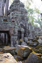 Obraz premium ruined khmer hindu and buddhist temple (ta prohm) in angkor in siem reap in cambodia 