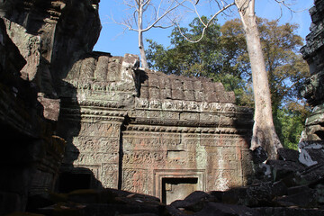 Obraz premium ruined khmer hindu and buddhist temple (ta prohm) in angkor in siem reap in cambodia 