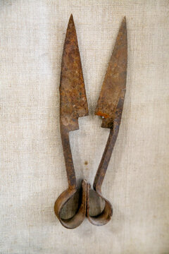 Antique metal scissors on a light background. The subjects are old technologies. World tour-ism.