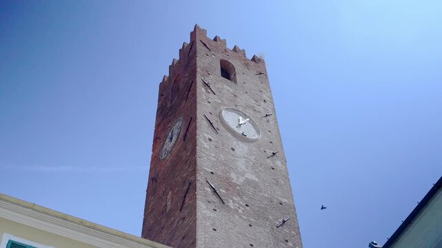 Birds flying around a brick clock tower viewed from below