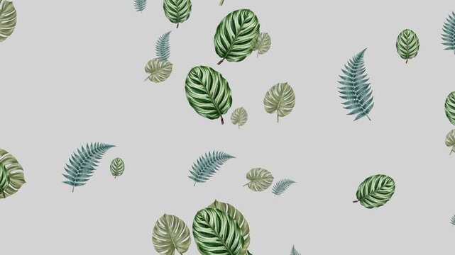 Tropical green leaves and ferns floating on light gray background botanical pattern with calathea and palm foliage