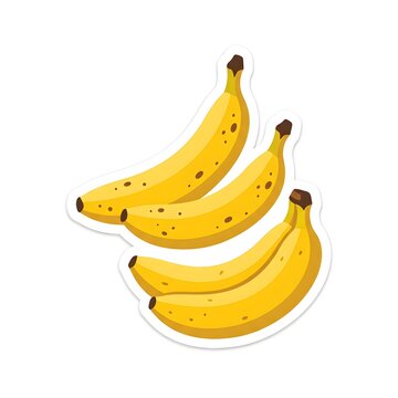 Tropical Fruit Cartoon Style Vector Graphics