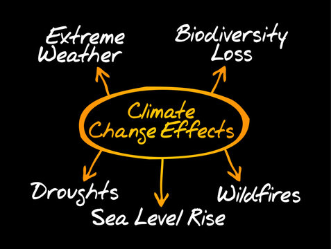 Climate Change Effects mind map diagram showing extreme weather, biodiversity loss, droughts, sea level rise and wildfires environmental concepts