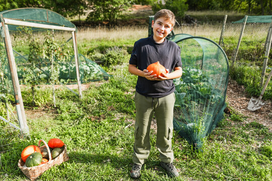 Happy boy holding organic pumpkin with hands inside vegetable home garden - Young people having fun during fall season - Autumn lifestyle concept - Main focus on gourd  - UGC wide lens content