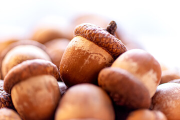 Macro shot of a pile of ripe brown oak acorns. Autumn nature background with selective focus and soft bokeh © Peresada