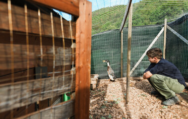 Happy young boy with ducks inside henhouse - Animal, teenager people and countryside lifestyle concept - UGC content - Focus on animal © DisobeyArt