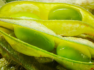 Macro close-up of fresh green edamame soybean pods split open revealing beans © iMDStock