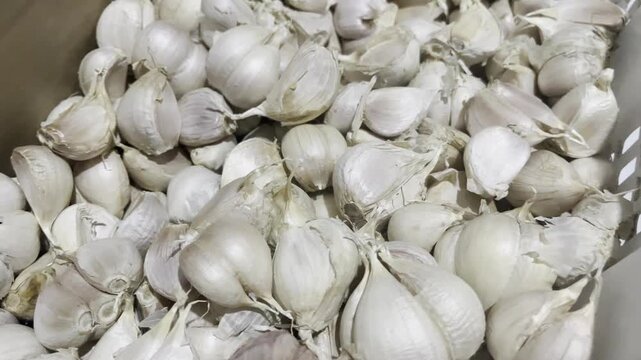 Fresh raw garlic bulbs pile close up food background