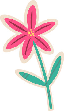 Pink Flower Stem