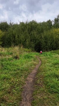 Lone child in red vest walks down winding dirt path through grassy field towards dense forest under cloudy sky.