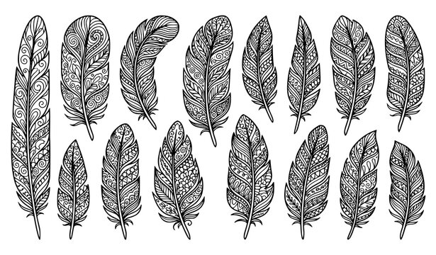 Collection of decorative feathers in varied shapes and patterns, detailed black outline hand drawn illustrations