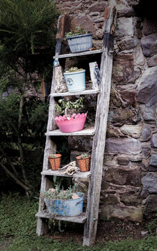 Planters On A Step Ladder Leaned Against A Wall
