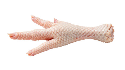 Raw uncooked chicken foot with scaly skin and sharp claws, isolated on transparent background © Nina