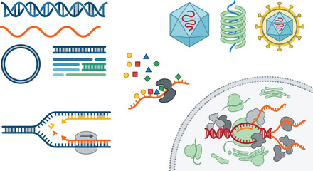 Fototapeta premium Molecular biology processes with DNA replication and viral particles in a clean vector illustration