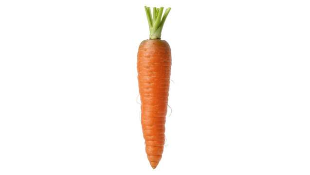 Single fresh orange carrot with green leafy top, isolated on transparent background
