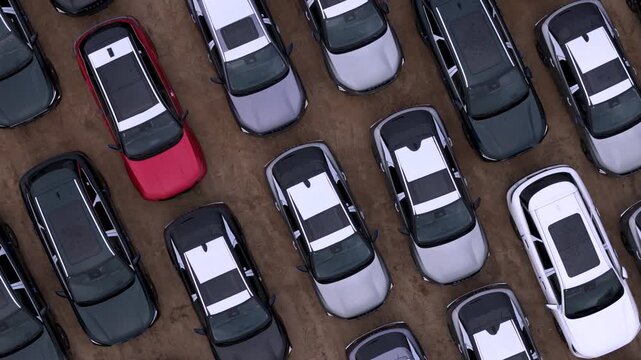 Overhead high-angle view of multiple modern crossover cars lined up at an outdoor logistics terminal. The scene visualizes automotive production, vehicle export, and modern transport fleet management.