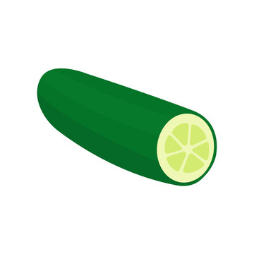 Minimalist Green Cucumber Vector Illustration for Healthy Food, Fresh Produce, Salad and Kitchen Design