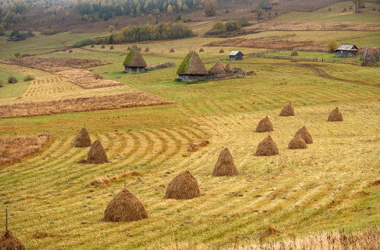View of traditional haystacks scattered across a rolling rural landscape with wooden huts and autumn foliage in Alba Iulia, Alba County, Romania.