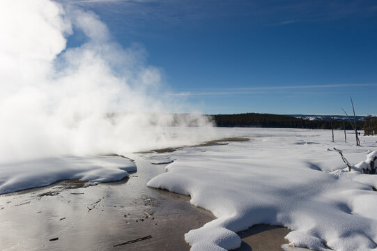 View of geothermal steam rising from a snow-covered landscape in a geyser basin under a clear blue sky in Yellowstone National Park, Wyoming, United States.