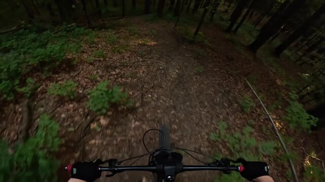 POV Video Of Mountain Biker Riding Fast On Dark Enduro Forest Trail