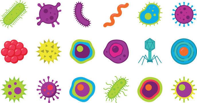 Bacteria, Viruses, and Microorganisms Vector Set Colorful Microbes Amoeba Bacteriophage Spirillum Bacillus Pathogens Germs and Cell Biology Clipart Flat Vector Illustration Set