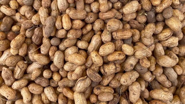 Organic raw unroasted i peanuts for sale in market