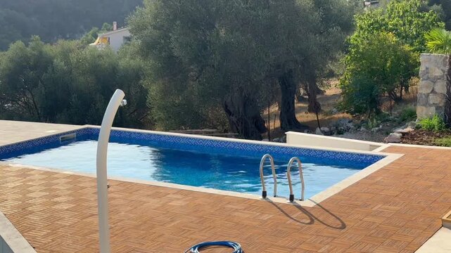 Sunlit outdoor swimming pool surrounded by olive trees, tiled patio, metal ladder, garden hose, and Mediterranean hillside landscape in a tranquil residential setting
