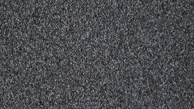 Poppy seeds rotating in a close view