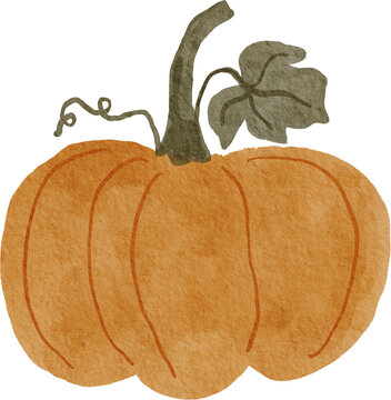 Watercolor Hand drawn Pumpkin. Autumn seamless pattern