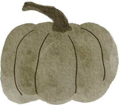 Watercolor Hand drawn Pumpkin. Autumn print