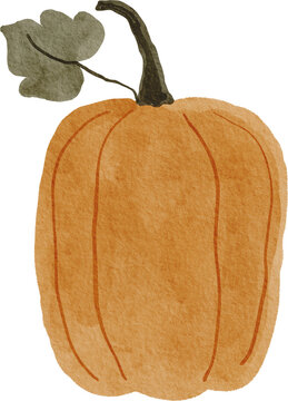 Watercolor Hand drawn Pumpkin. Autumn seamless pattern