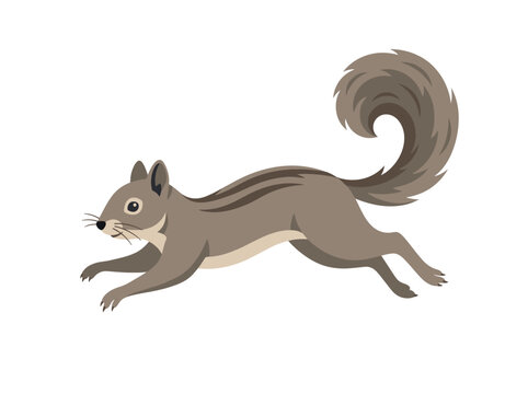 Cute brown chipmunk running fast with fluffy tail
