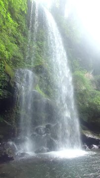 神奈川県で撮影した夕日の滝  縦長サイズ vertical video