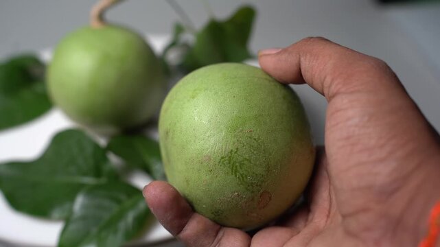 Bael Fruit &ndash; Aegle Marmelos, Traditional Indian Wood Apple Fruit with Hard Shell, Aromatic Pulp, Natural Nutrition and Ayurvedic Heritage