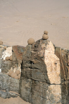 Natural Sand Balls in Vertical Line on Coastal Rock